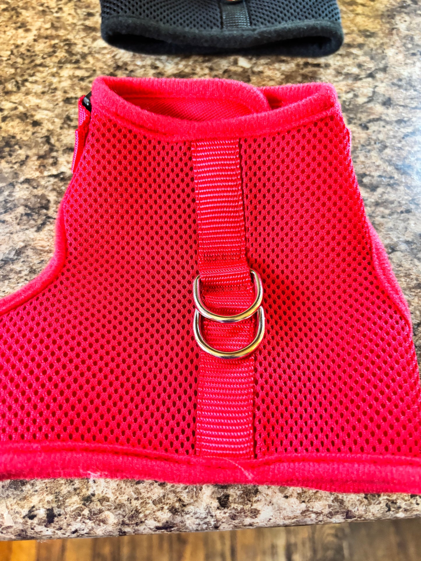 Dog vest