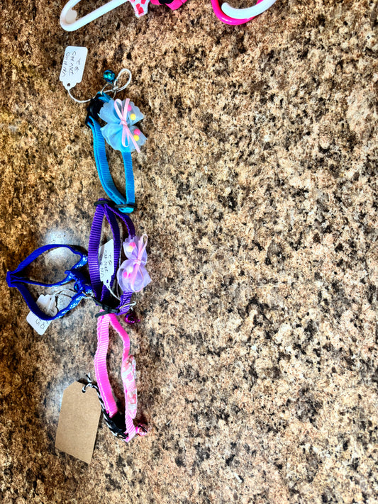 cat collars