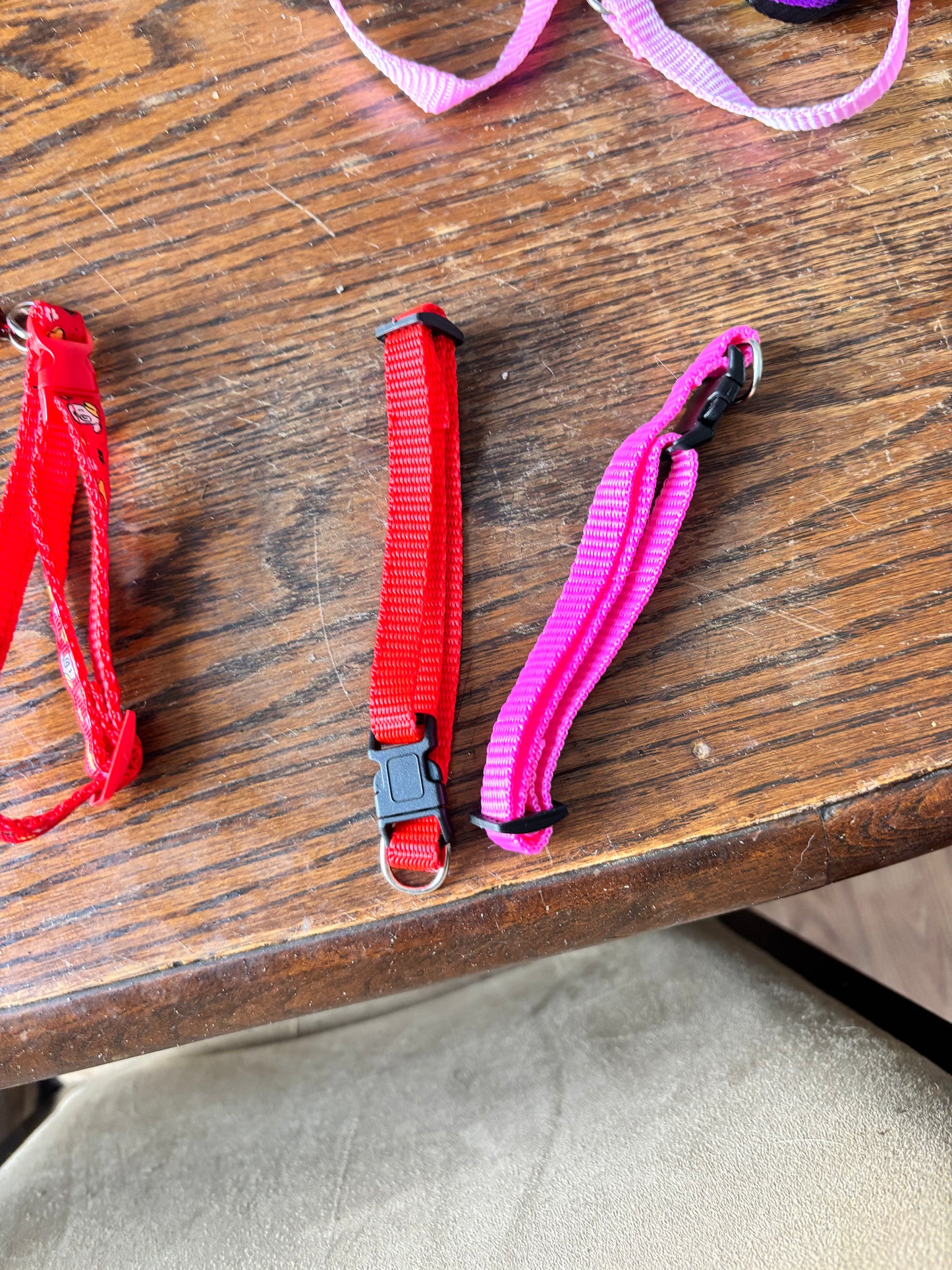 Small dog collars